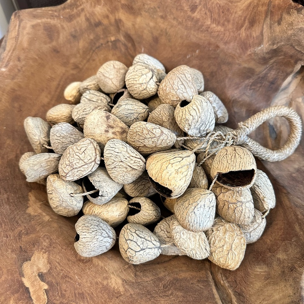 Natural seed shell percussion instrument home decor - Picture 3 of 4